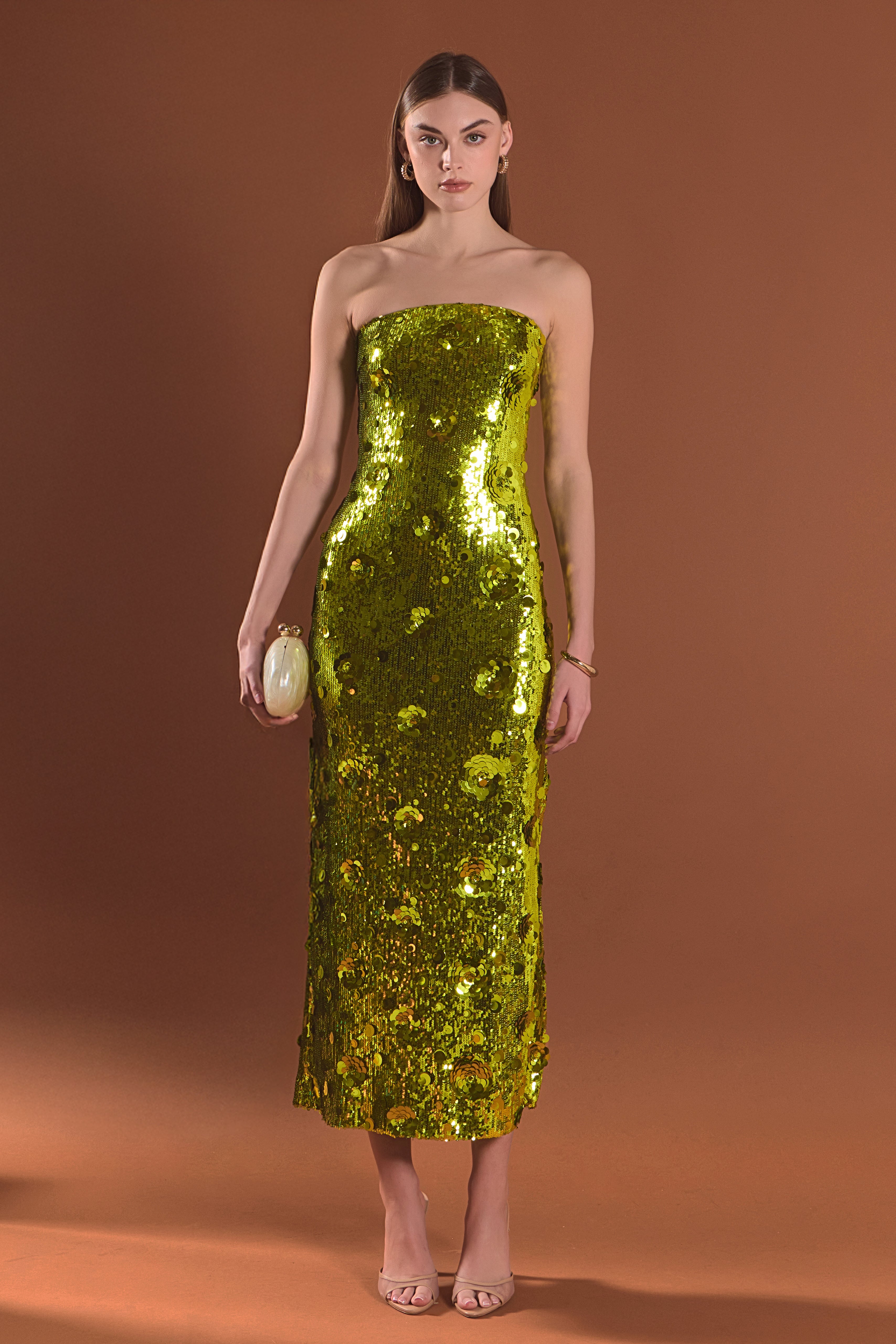 Sequined Applique Midi Dress
